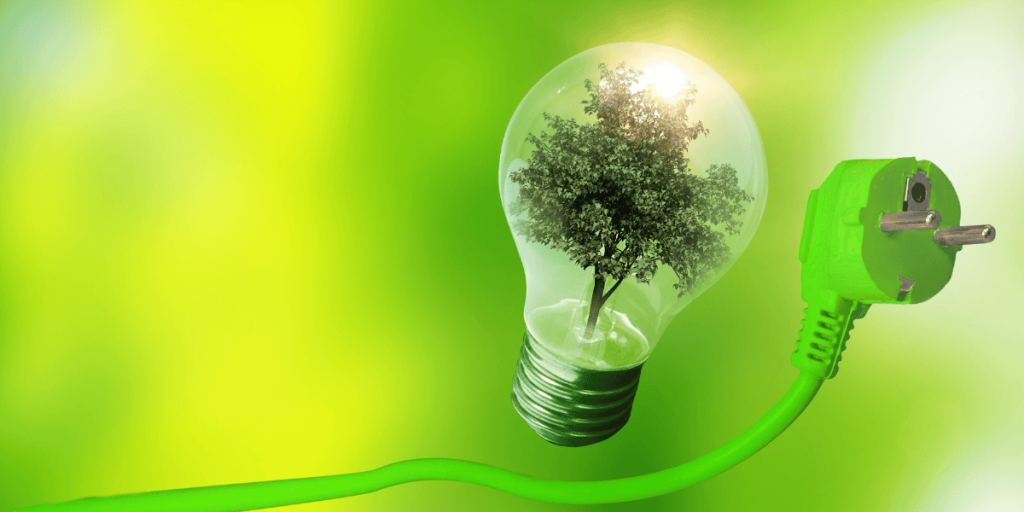 Lampadina e presa amiche dell'ambiente