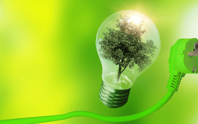 Lampadina e presa amiche dell'ambiente